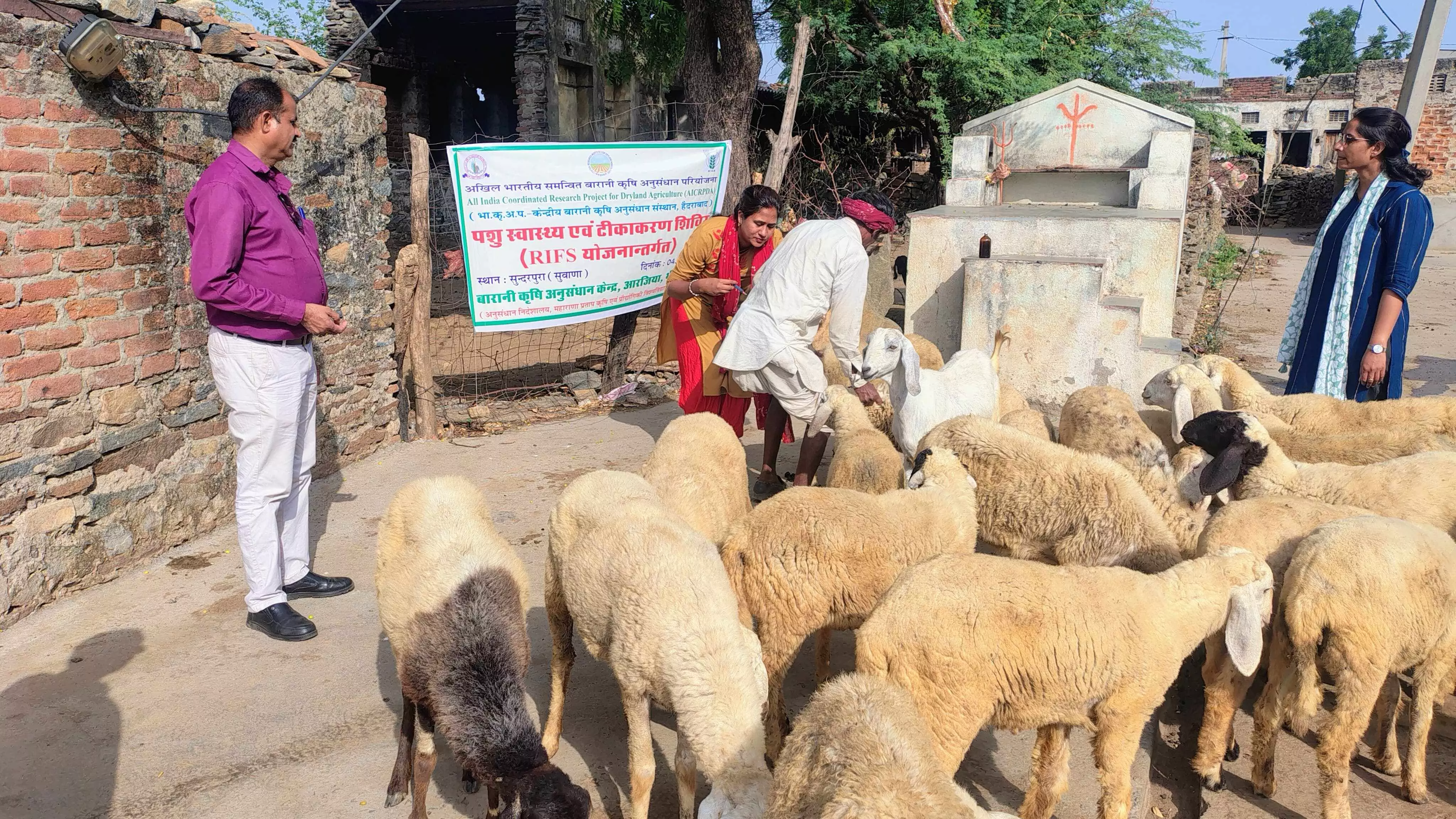 पशु स्वास्थ्य एवं टीकाकरण शिविर का आयोजन