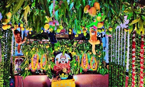आम का बगीचा लगाकर किया बालाजी का आकर्षक श्रंगार,सालासर बाबा का जगमगाया दरबार