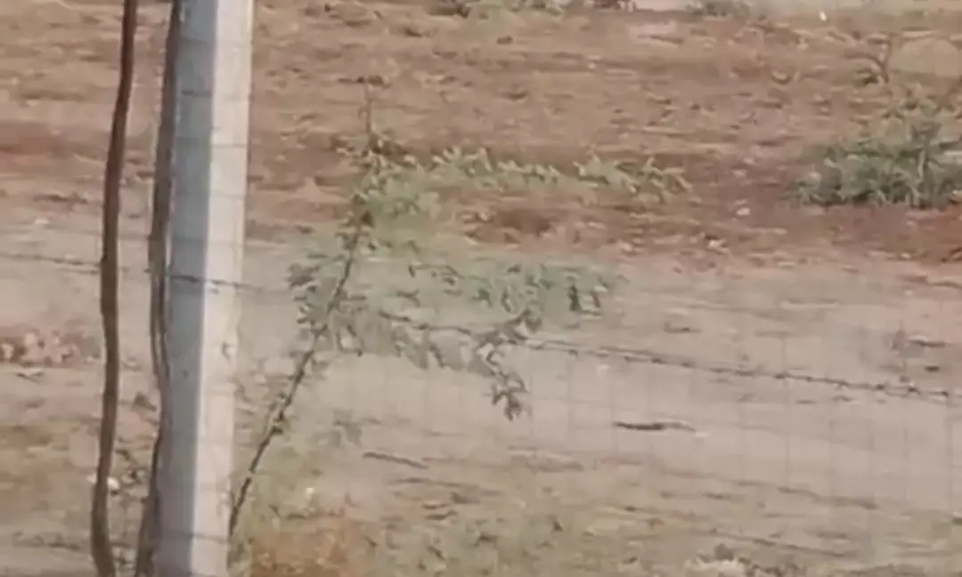 सरकारी खेल मैदान पर अतिक्रमणकारियों  ने फिर क्र लिया कब्ज़ा