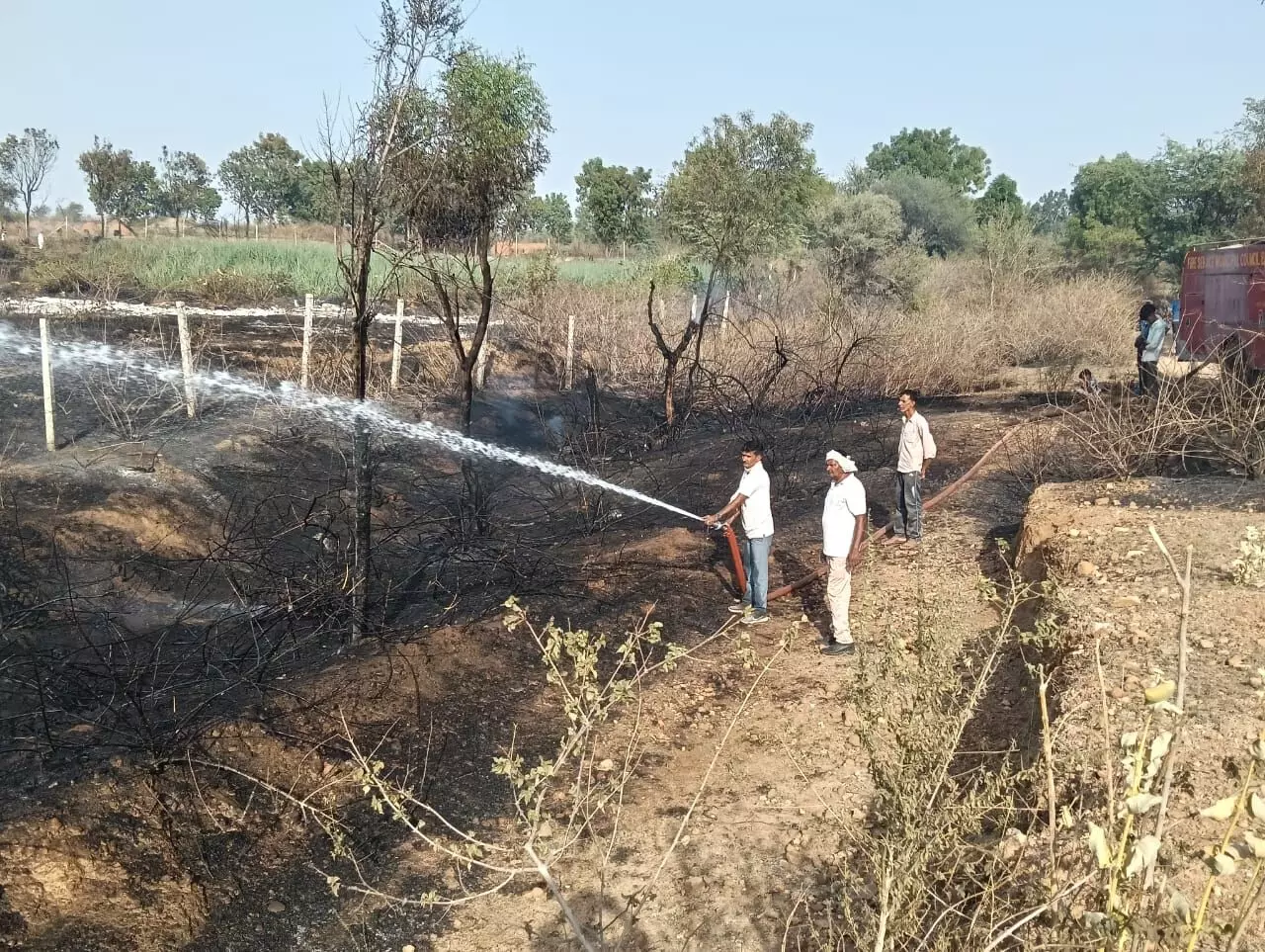 आकोला में लगी आग, 55 बीघा में फेली , 4 घंटे में पाया काबू आकोला में लगी आग, 55 बीघा में फेली , 4 घंटे में पाया काबू