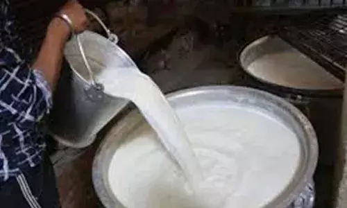 भीलवाड़ा डेयरी ने पशुपालकों को गर्मी में दी राहत, दूध पर 2 रुपये प्रति लीटर अतिरिक्त भुगतान