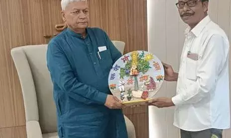 मांडल क्षेत्र के भीम सिंह की अनोखी पहल — "एक पेड़ माँ के नाम" थीम पर कलाकृति कर सांसद को भेंट