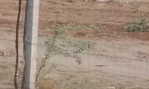 सरकारी खेल मैदान पर अतिक्रमणकारियों  ने फिर क्र लिया कब्ज़ा