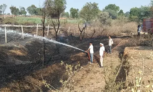 आकोला में लगी आग, 55 बीघा में फेली , 4 घंटे में पाया काबू