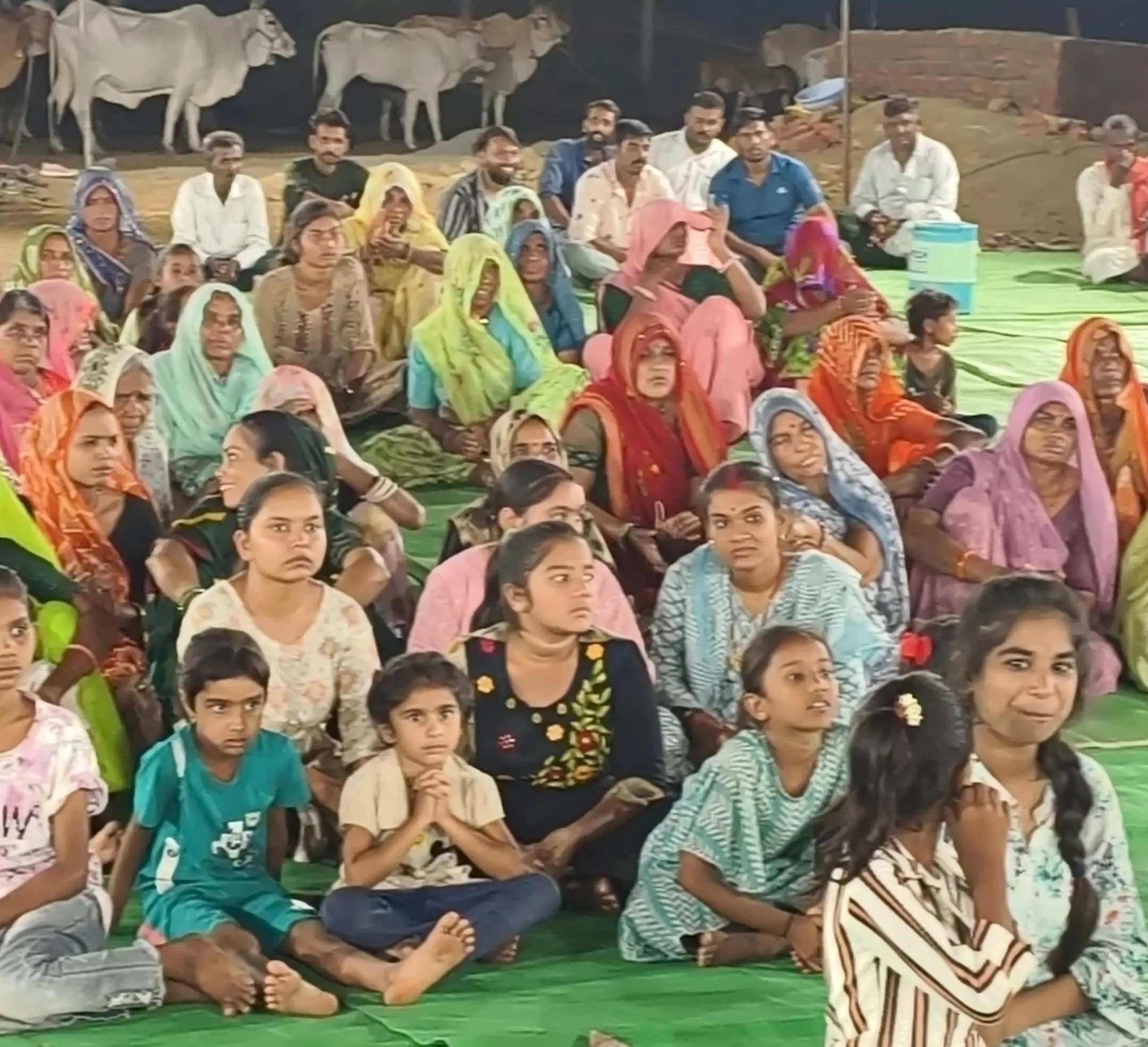एक शाम गौ माता के नाम भजन संध्या में देर रात तक झूमे सैकड़ों श्रद्धालु एक शाम गौ माता के नाम भजन संध्या में देर रात तक झूमे सैकड़ों श्रद्धालु