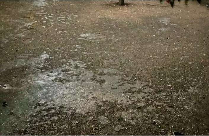 शाहपुरा में बारिश, मौसम हुआ खुशनुमा शाहपुरा में बारिश, मौसम हुआ खुशनुमा