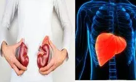 Kidney और Liver को नेचुरली साफ करते हैं ये 5 फल, आज ही करें डाइट में शामिल! Kidney और Liver को नेचुरली साफ करते हैं ये 5 फल, आज ही करें डाइट में शामिल!