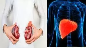 Kidney और Liver को नेचुरली साफ करते हैं ये 5 फल, आज ही करें डाइट में शामिल!