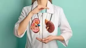 5 संकेत जो बताते हैं कि शरीर में भर चुकी है गंदगी- जानिए कैसे करें पहचान 5 संकेत जो बताते हैं कि शरीर में भर चुकी है गंदगी- जानिए कैसे करें पहचान