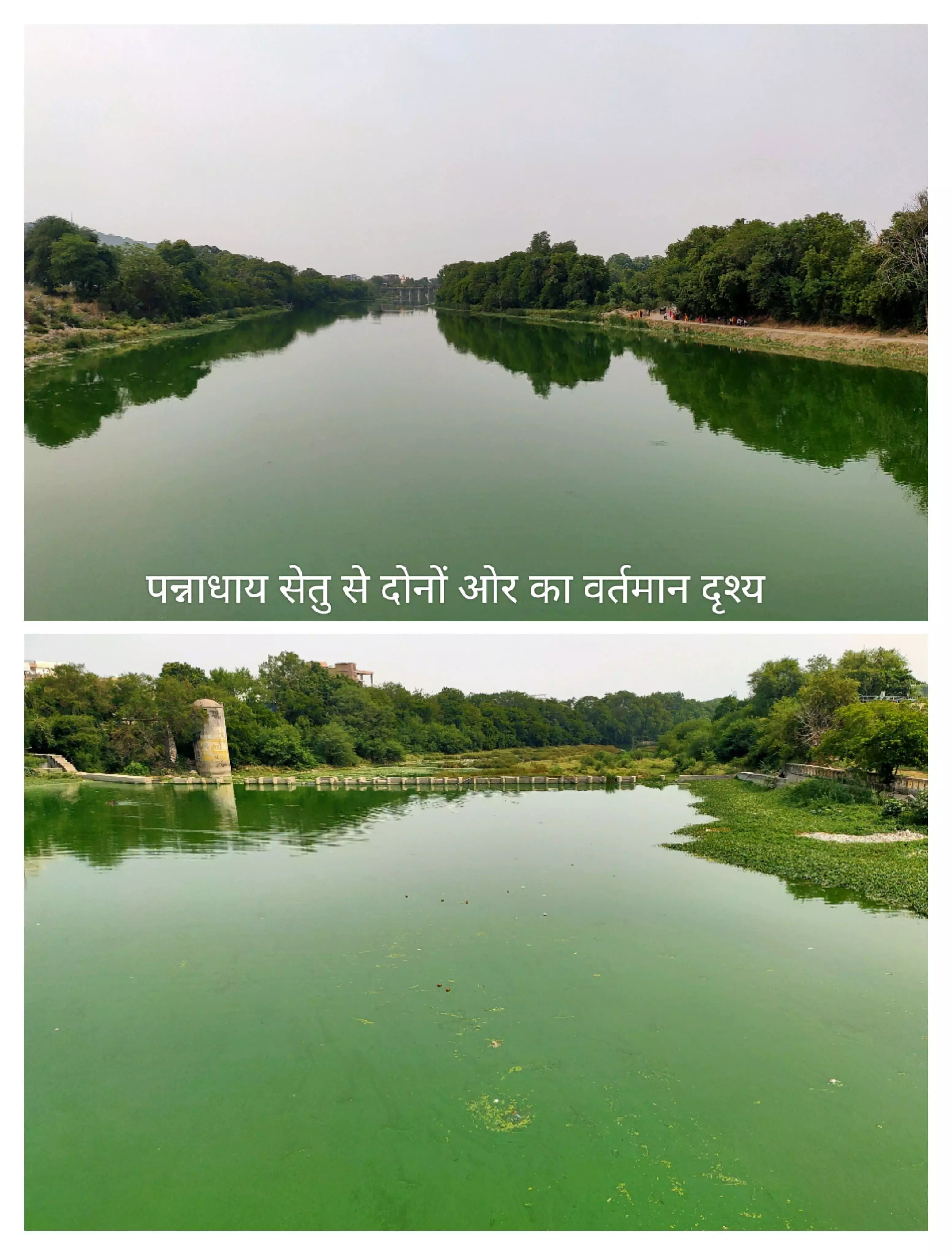 गंभीरी नदी की सफाई के लिए सामूहिक श्रमदान गंभीरी नदी की सफाई के लिए सामूहिक श्रमदान