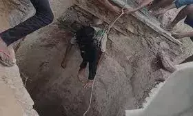 चोरी के आरोपी ने पुलिस को चकमा देकर कुएं में लगाई छलांग, हालत गंभीर