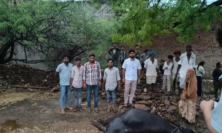 आकाशीय बिजली गिरने से भैस की मौत