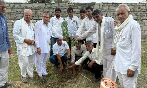 जिला प्रमुख अहीर एवं प्रधान धाकड़ ने किया पौधरोपण