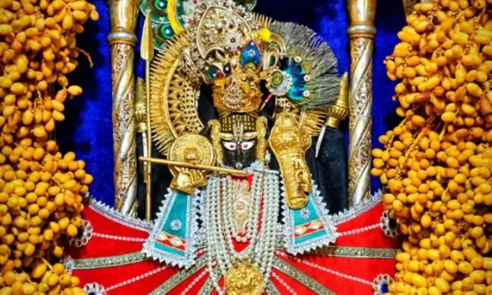 जय श्री कोटड़ी श्याम दरबारआज मंगला श्रृंगार आरती के दर्शन दिनांक     18-06-2025*