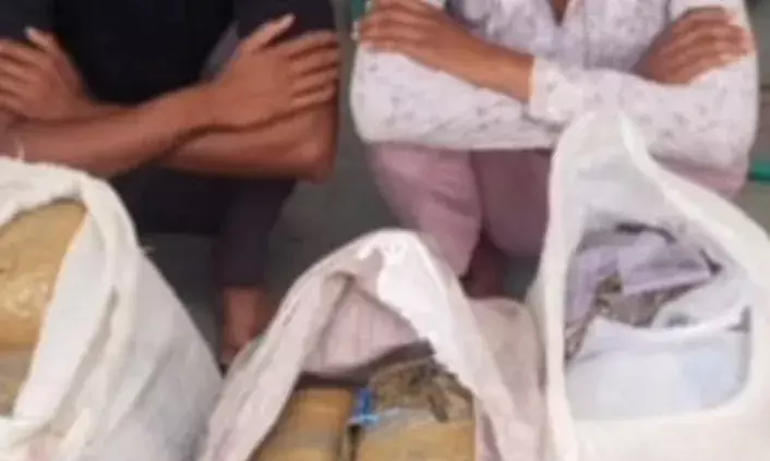 नला का माताजी में बाइक पर गांजा तस्करी  करते 2 गिरफ्तार:159 किलो माल बरामद