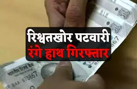 एसीबी की बड़ी कार्रवाई पटवारी और चैन मैन 5000 की रिश्वत लेते गिरफ्तार