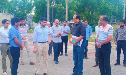जिला कलक्टर रहे फतहनगर-सनवाड़ के दौरे पर