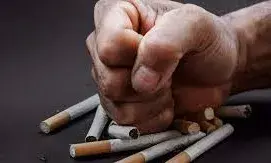 राजस्थान में तंबाकू पर लगाम! अब बिना लाइसेंस नहीं बिकेगा गुटखा-सिगरेट