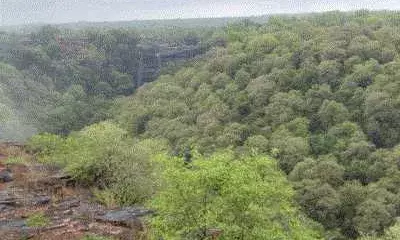 बिजोलिया में 82 मिमी बारिश,मेनाल का झरना शुरू, पर्यटकों की भीड़