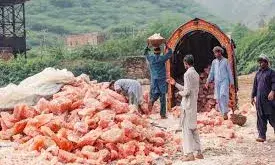 भारत की नमकबंदी से तिलमिलाया पाकिस्तान