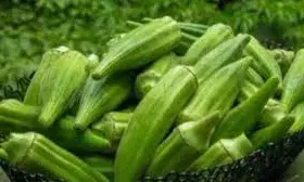 इन बीमारियों में भूलकर भी न खाएं भिंडी ,नहीं तो हो सकते है यह चार साइड इफेक्ट