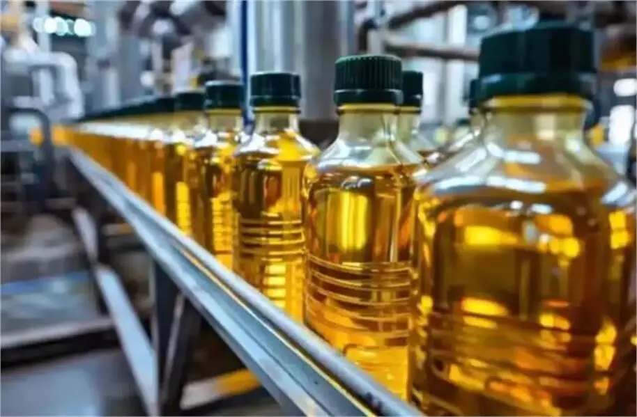 खाद्य तेल की किल्लत का खतरा: कांडला बंदरगाह पर फंसे जहाज