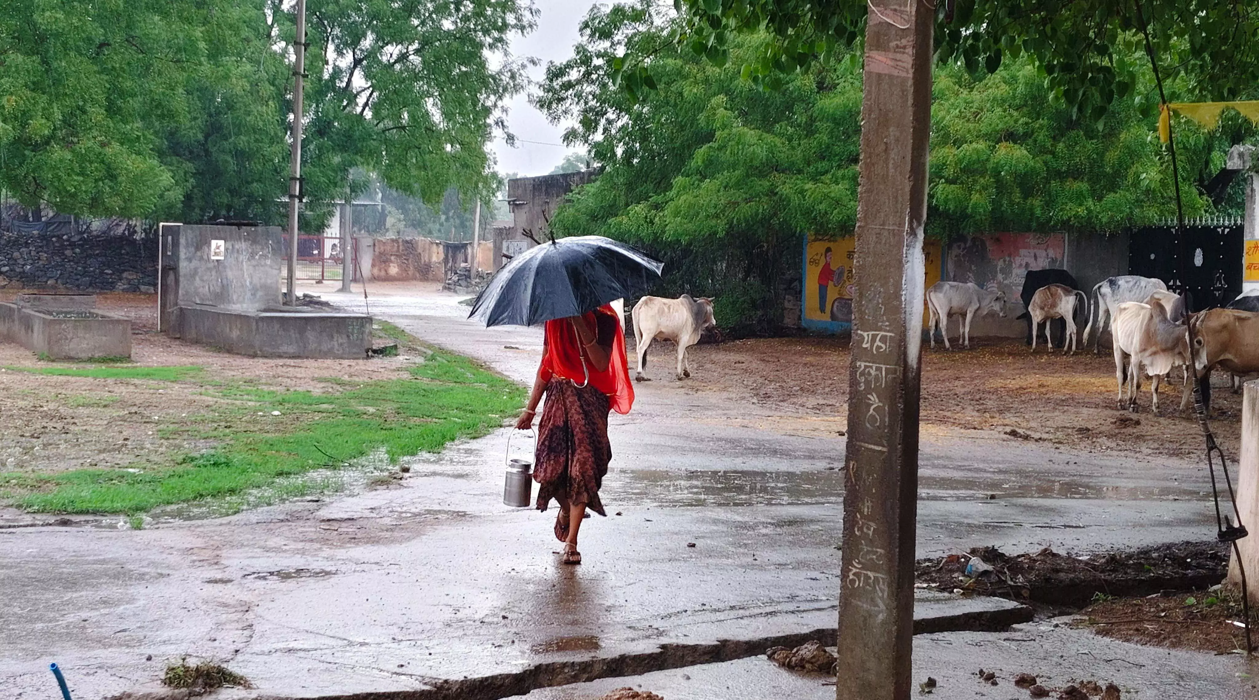 आषाढ़ में सावन का अहसास, दिनभर लगी रही बारिश की झड़ी