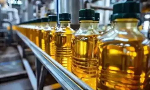 खाद्य तेल की किल्लत का खतरा: कांडला बंदरगाह पर फंसे जहाज खाद्य तेल की किल्लत का खतरा: कांडला बंदरगाह पर फंसे जहाज