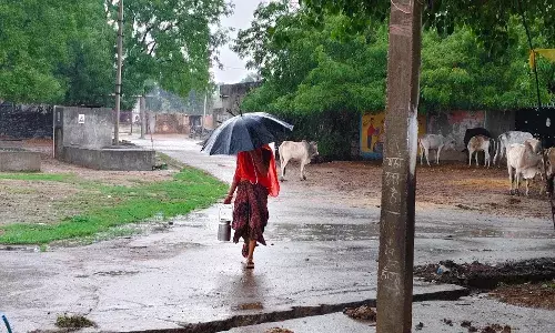 आषाढ़ में सावन का अहसास, दिनभर लगी रही बारिश की झड़ी