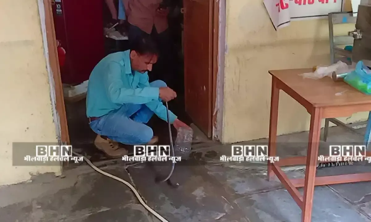 रायला अन्नपूर्णा रसोई में गूसा सर्प रेस्क्यू टीम ने निकाला