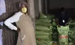 अवैध 377 बोरी यूरिया का जब्त भंडारण:कृषि मंत्री किरोड़ी लाल मीणा अचानक पहुंचे बीकानेर