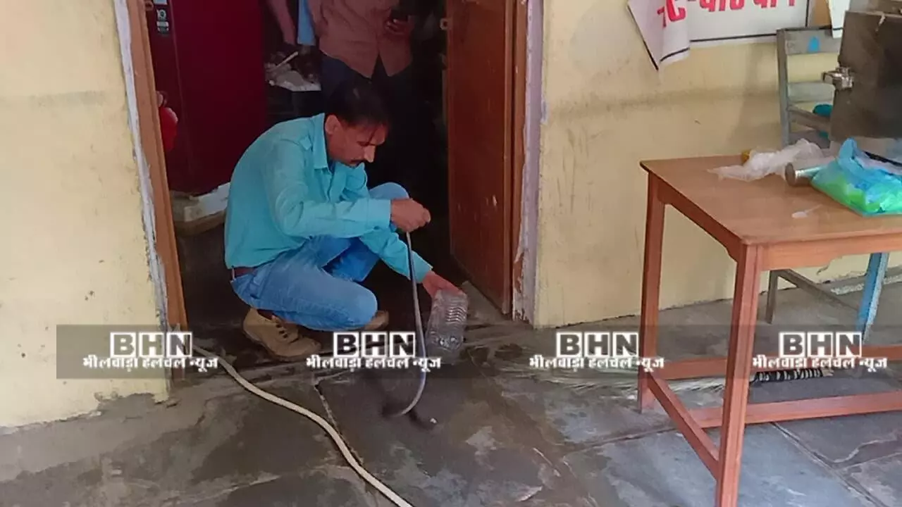रायला अन्नपूर्णा रसोई में गूसा सर्प रेस्क्यू टीम ने निकाला