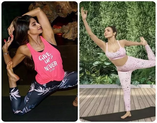 शिल्पा शेट्टी और मलाइका ने कुछ इस तरह मनाया इंटरनेशनल योगा डे शिल्पा शेट्टी और मलाइका ने कुछ इस तरह मनाया इंटरनेशनल योगा डे