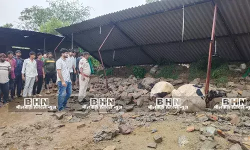 तेज बारिश के चलते बाड़े की दीवार ढही, तीन गायों व एक भैंस की मौत