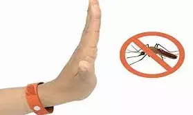 बारिस  के साथ आ रहे मच्छरों से  बचने के लिए आजमाएं ये आसान 5 टिप्स