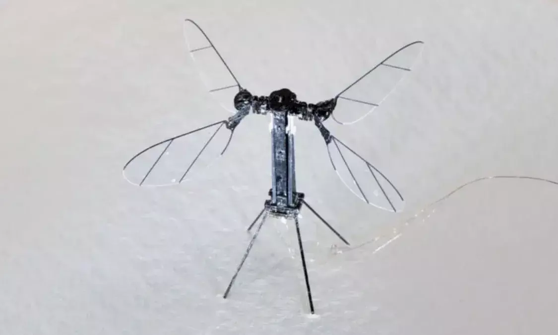 चीन ने बनाया दुनिया का सबसे छोटा मच्छर वाला ड्रोन चीन ने बनाया दुनिया का सबसे छोटा मच्छर वाला ड्रोन