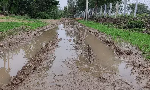 कीचड़ में तब्दील हुआ सुथारिया खेड़ा मार्ग, लोग परेशान कीचड़ में तब्दील हुआ सुथारिया खेड़ा मार्ग, लोग परेशान