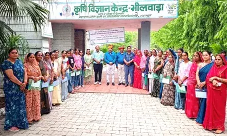 फल एवं सब्जियों के प्रसंस्करण द्वारा बने आत्मनिर्भर