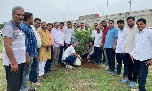 श्यामा प्रसाद मुखर्जी पुण्यतिथि पर भादसोड़ा मंडल की बैठक एवं वृक्षारोपण कार्यक्रम आयोजित
