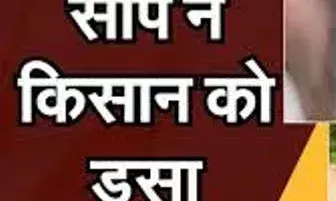 चलानिया में सांप के काटने से किसान की मौत