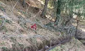 राजौरी में  घुसपैठ की कोशिश नाकाम; फायरिंग कर भागे आतंकी