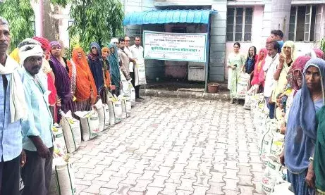 मूँगफली बीज उत्पादन तकनीकी प्रशिक्षण आयोजित मूँगफली बीज उत्पादन तकनीकी प्रशिक्षण आयोजित