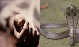 बुआई करते समय महिला को सांप ने डसा, मौत बुआई करते समय महिला को सांप ने डसा, मौत
