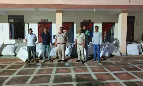 निर्जन स्थान पर खेत में की जा रही थी गांजे की खेती, पुलिस ने छापा मारकर जब्त किये चार हजार से ज्यादा पौधे निर्जन स्थान पर खेत में की जा रही थी गांजे की खेती, पुलिस ने छापा मारकर जब्त किये चार हजार से ज्यादा पौधे