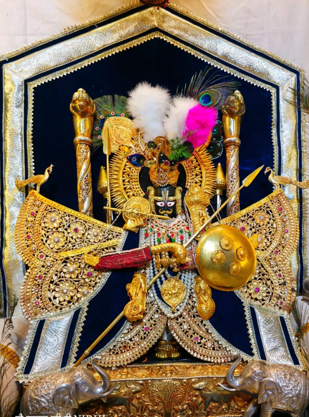 कोटड़ी चारभुजानाथ मंदिर में उमड़ा श्रद्धालुओं का सैलाब, भेंट पात्र से निकले 45 लाख रुपये, जयकारों से गूंजा मंदिर परिसर