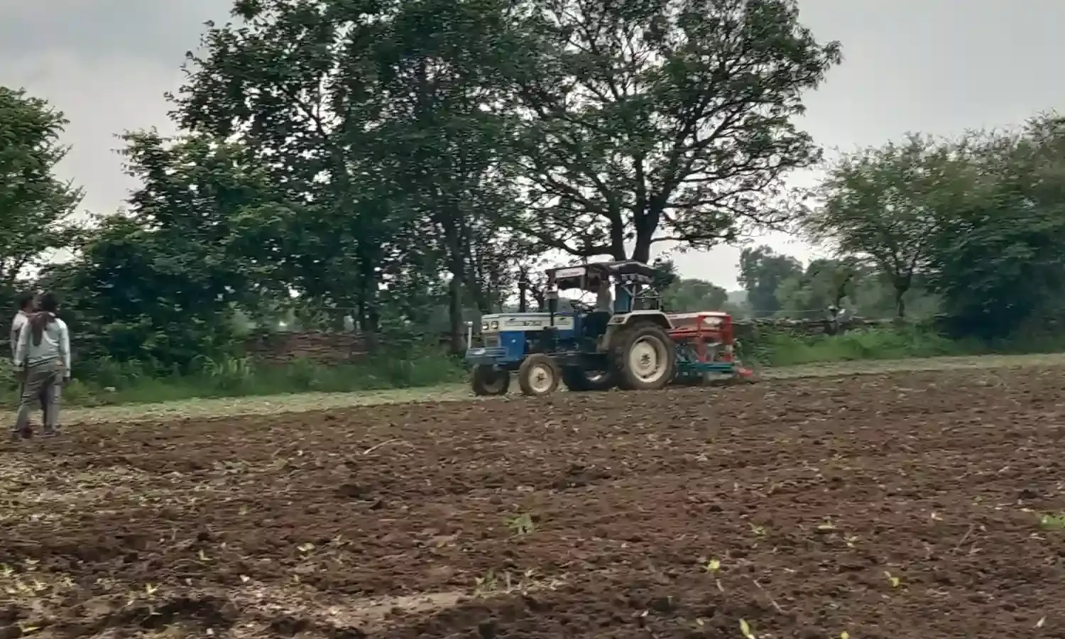 मक्के फ़सल की बुवाई का कार्य शुरू