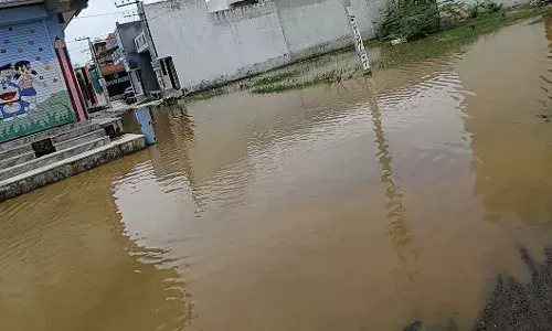 कॉलोनी में मिट्टी के डंपर डाल नालियां चौक की, घरों के बाहर भरा पानी, जहरीले जंतुओं का बना खतरा