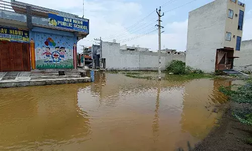 मातेश्वरी कॉलोनी में मिट्टी के डंपर डाल नालियां चौक की, घरों के बाहर भरा पानी, जहरीले जंतुओं का बना खतरा