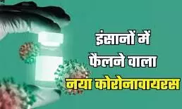 चीन में मिले नए वायरसों से WHO के उड़े होश, इंसानों को छूने भर से मच सकती तबाही