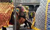 अहमदाबाद में रथ यात्रा के दौरान बेकाबू हुआ हाथी, बैरिकेड तोड़कर गली में घुसा